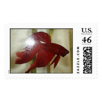 Samari Stamp
