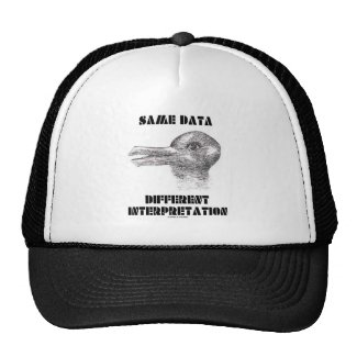 Same Data Different Interpretation (Duck Rabbit) Hats