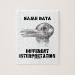 Same Data Different Interpretation (Duck Rabbit) Puzzles