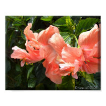 Same Hibiscus posters by KrisArts Same Hibiscus posters