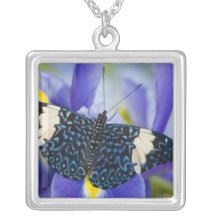 Sammamish, Washington. Tropical Butterflies 56 Jewelry