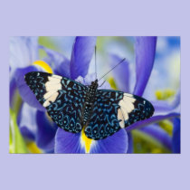 Sammamish, Washington. Tropical Butterflies 56 posters