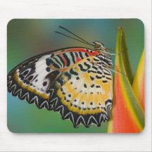 Sammamish, Washington. Tropical Butterflies 67 Mouse Pads
