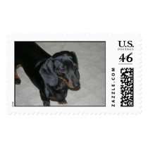 Sammi girl postage by kfannin Sammi girl postage
