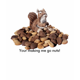 Sammie The Squirrel Childrens Shirt shirt