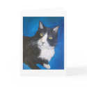 Sammy (Blue) Card by donnabellas Sammy (Blue) Card