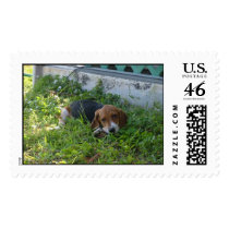 SAMMY postage by BRESMOMMY2002 SAMMY postage