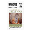 Sammy postage by CenterforGreatApes Sammy postage