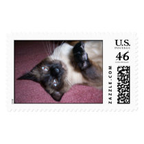 Sammy postage
