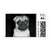 Sammy The Artistic Pug postage