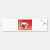 Sammy the beautiful flower bumper stickers