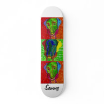 Sammy's Skateboard