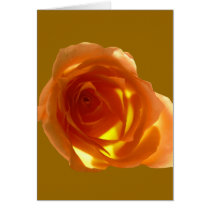 Samon Rose cards