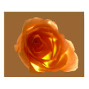 Samon Rose posters by roimim Samon Rose posters
