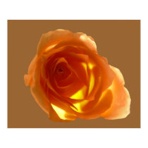 Samon Rose posters by roimim Samon Rose posters
