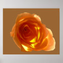 Samon Rose posters