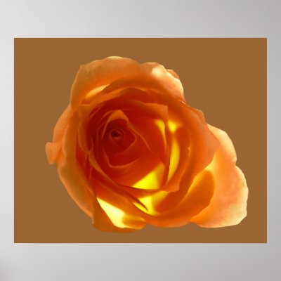 Samon Rose Poster by roimim
