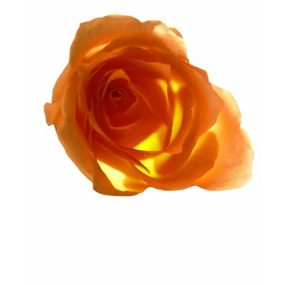 Samon Rose T-shirt by roimim