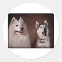 Samoyed and Husky Stickers