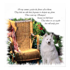 Samoyed Art Print print