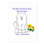 Samoyed Best Things In Life Postcard