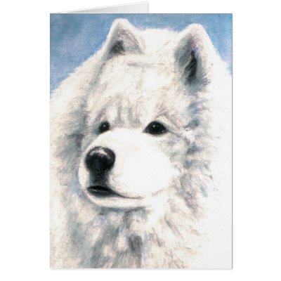 Samoyed Dog Blank Card by abicushman