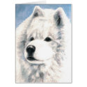 Samoyed Dog Blank Card