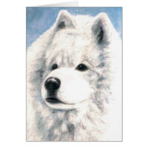 Samoyed Dog Blank Card by abicushman Samoyed Dog Blank Card