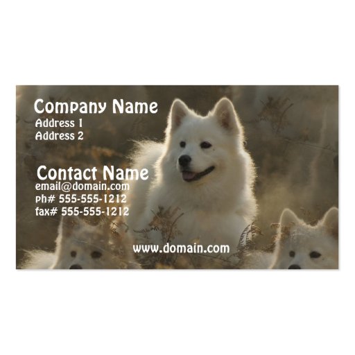 Samoyed Dog Breed Business Card (front side)