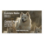 Samoyed Dog Breed Business Card