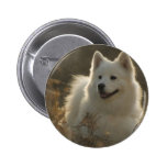Samoyed Dog Breed Round Pin