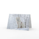 Samoyed dog cards by tristana Samoyed dog cards