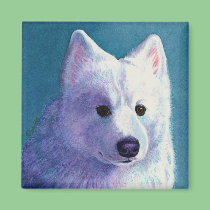 Samoyed Dog Magnet - "Buddha" magnets
