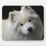 Samoyed Dog Mousepad