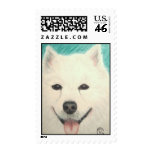 Samoyed Dog Postage Stamp