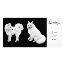 Samoyed Dogs Photo Card photo cards