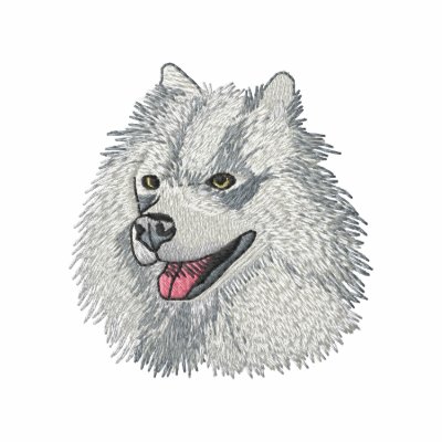Samoyed Samoyed
