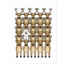 Samoyed in the Reindeer Post Cards