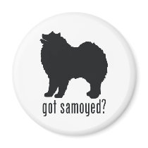 Samoyed Magnet