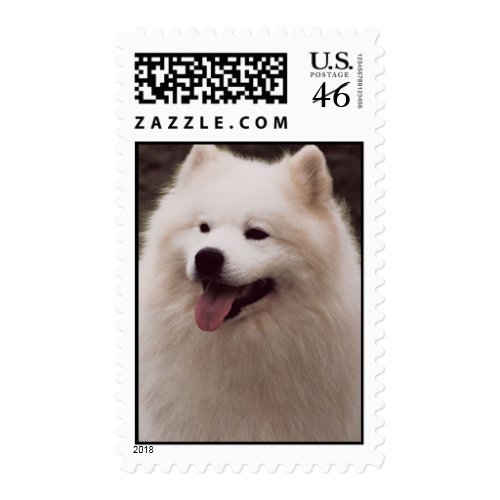 Samoyed stamp