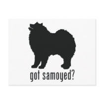 Samoyed Post Cards