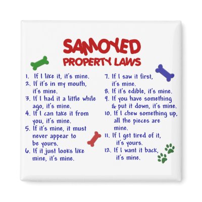 Samoyed Property Laws 2 Fridge Magnets