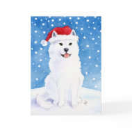 Samoyed snow dog card