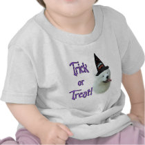 Samoyed Trick t-shirts