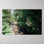 Sampson Creek, Virginia Poster