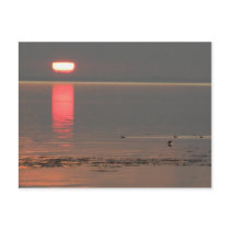 Samsø Island Denmark Photo Colette July 2009 postcards by Colettephoto Samsø Island Denmark Photo Colette July 2009 postcards