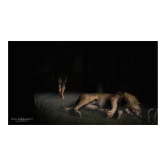 Samson and the Lion print