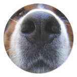 Samson Stickers