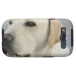 Samsung Galaxy Case - Customized