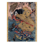 Samurai in Camouflage Post Cards